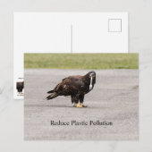 Carte Postale Réduire La Pollution Plastique (Devant / Derrière)