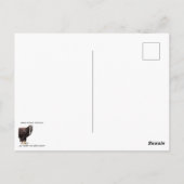 Carte Postale Réduire La Pollution Plastique (Dos)