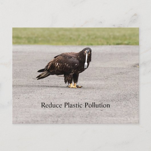 Carte Postale Réduire La Pollution Plastique (Devant)