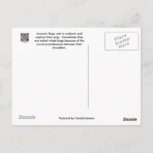 Carte postale Reduviid Assassin Bug (Dos)