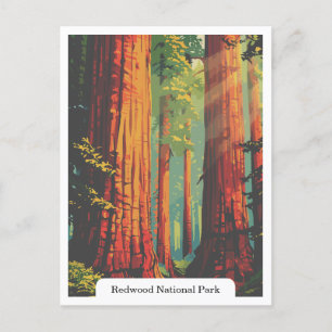 Carte Postale Redwood National and State Parks, Californie États