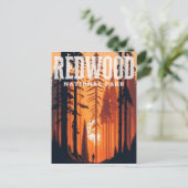 Carte Postale Redwood National Park, CA Postcard (Debout devant)