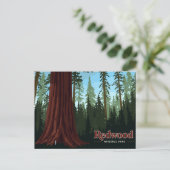 Carte Postale Redwood National Park Giant Tree Art (Debout devant)