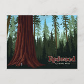 Carte Postale Redwood National Park Giant Tree Art (Devant)