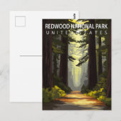 Carte Postale Redwood National Park Hiking Forest (Devant / Derrière)