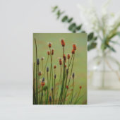 Carte Postale Reed (Debout devant)