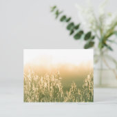 Carte Postale Reed Sunset Nature Photo (Debout devant)
