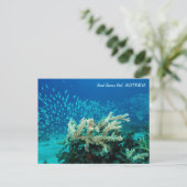 Carte postale Reef (Debout devant)