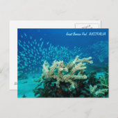 Carte postale Reef (Devant / Derrière)