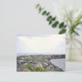 Carte Postale Reef_Dorado PR (Debout devant)