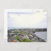 Carte Postale Reef_Dorado PR (Devant / Derrière)