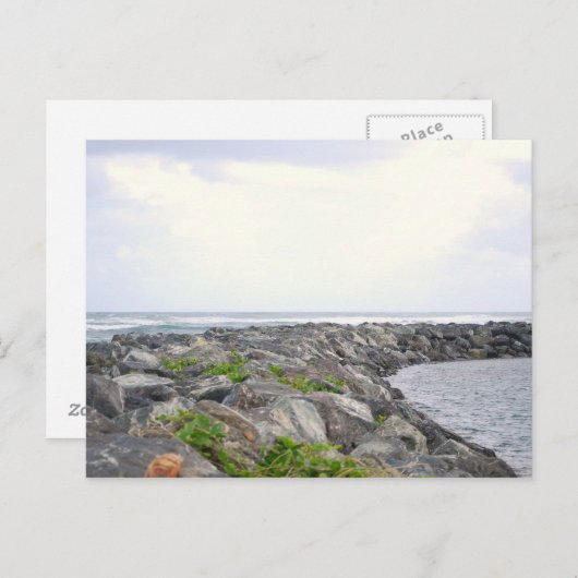 Carte Postale Reef_Dorado PR (Devant / Derrière)