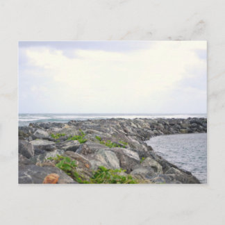 Carte Postale Reef_Dorado PR