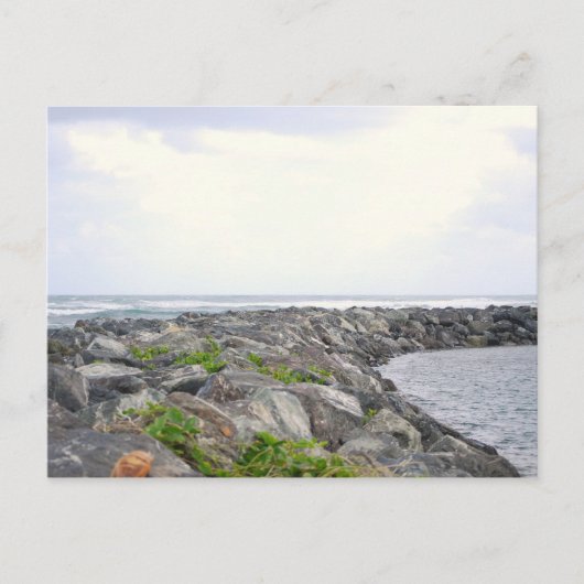 Carte Postale Reef_Dorado PR (Devant)