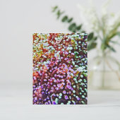 Carte Postale Reef vivant (Debout devant)