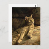 Carte Postale Réfléchi (Devant / Derrière)