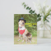 Carte Postale Réfléchissez à votre sujet (Debout devant)