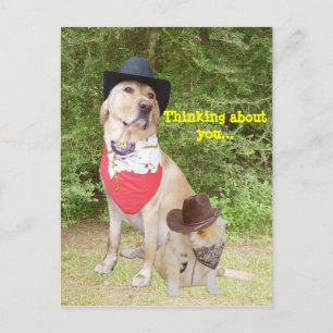 Carte Postale Réfléchissez à votre sujet