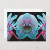Carte Postale Réflection de l'orchid bleu exotic (Devant / Derrière)