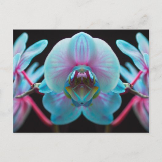 Carte Postale Réflection de l'orchid bleu exotic (Devant)