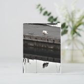 Carte Postale reflective Seagull (Debout devant)