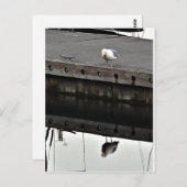 Carte Postale reflective Seagull (Devant / Derrière)