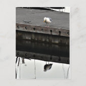 Carte Postale reflective Seagull (Devant)