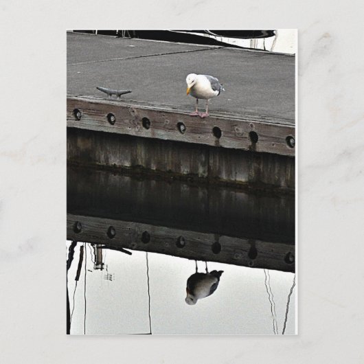 Carte Postale reflective Seagull (Devant)