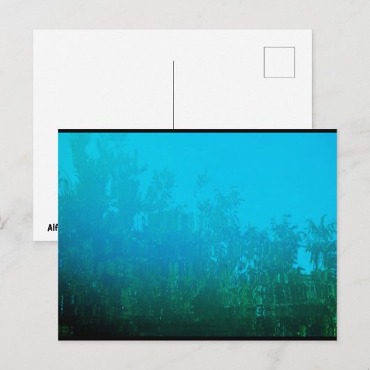 Carte Postale Reflet dans l'Eau (Devant / Derrière)