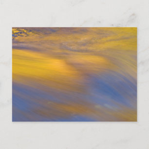 Carte Postale Reflet d'automne doré sur l'eau qui coule