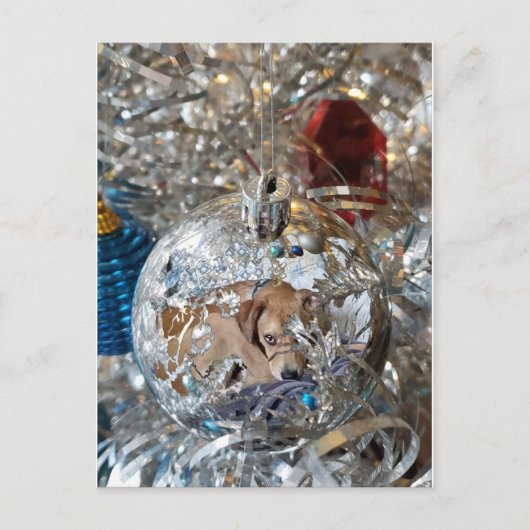 Carte Postale Reflet de l'ampoule en argent (Devant)