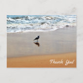 Carte Postale Reflet de mouette, sable et Merci de plage Ocean B (Devant)