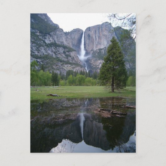 Carte Postale reflet des chutes de Yosemite (Devant)