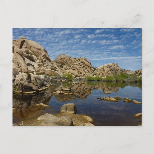 Carte Postale Reflet du Barker Dam à Joshua Tree I (Devant)