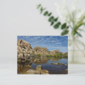 Carte Postale Reflet du Barker Dam à Joshua Tree I (Debout devant)