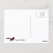 Carte Postale Reflet du lac de Yosemite (Dos)