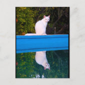 Carte Postale Reflet d'un portrait de chat blanc (Devant)