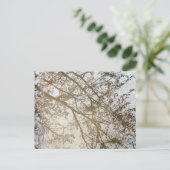 Carte Postale Reflets d'arbre printanier sur la mare de chemin c (Debout devant)