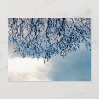 Carte Postale Reflets d'arbres sur l'eau Photographie de la natu