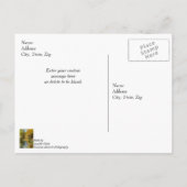 Carte Postale Reflets d'automne de Creek Vertical Merci (Dos)