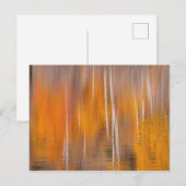 Carte Postale Reflets d'automne sur l'étang aux castors | Winthr (Devant / Derrière)