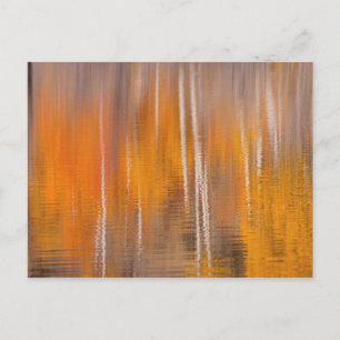 Carte Postale Reflets d'automne sur l'étang aux castors   Winthr