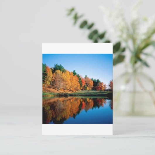 Carte Postale Reflets d'Automne Vermont (Debout devant)