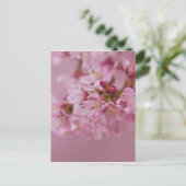 Carte Postale Reflets Rose Pâle des Fleurs de Cerisier Sakura (Debout devant)