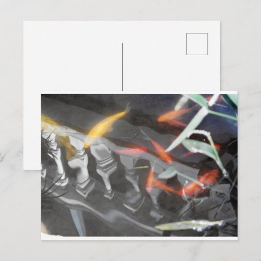 Carte Postale Réflexion Coy (Devant / Derrière)