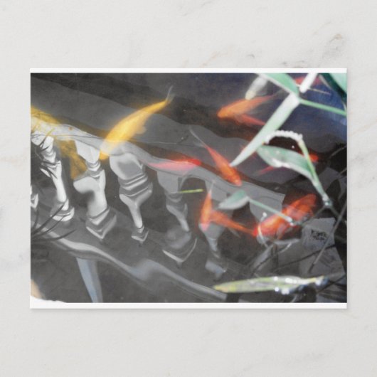 Carte Postale Réflexion Coy (Devant)