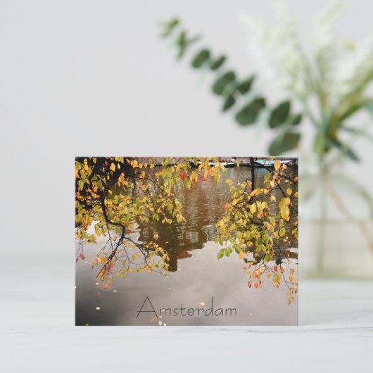 Carte Postale Réflexion d'Amsterdam (Debout devant)