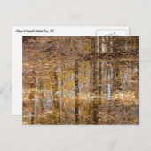 Carte Postale Réflexion dans le ruisseau Still au parc Greenbelt (Devant / Derrière)