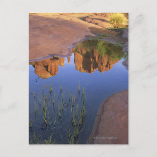 Carte Postale Réflexion de Cathedral Rock, Sedona, Arizona