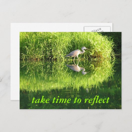 Carte Postale Réflexion de la grue (Devant / Derrière)